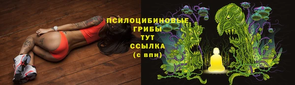крисы Баксан