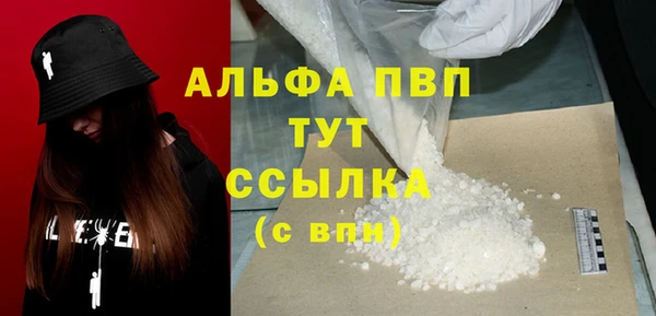 крисы Баксан