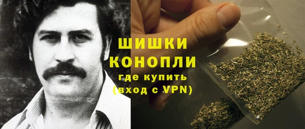 крисы Баксан
